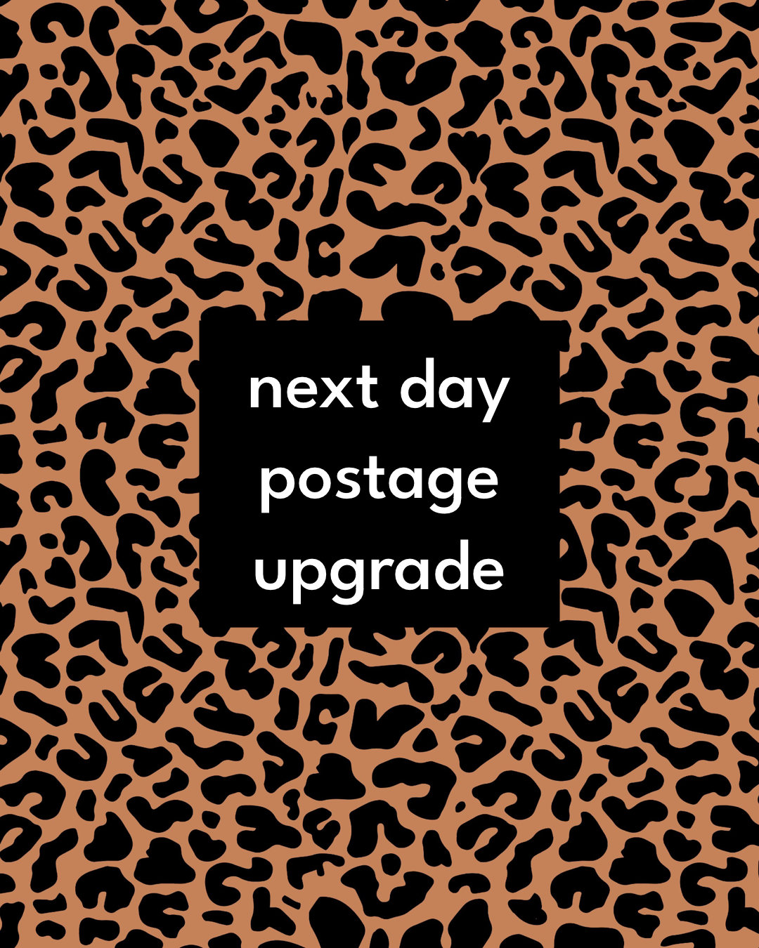 Next Day Delivery Postage Upgrade